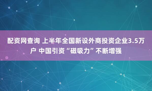 配资网查询 上半年全国新设外商投资企业3.5万户 中国引资“磁吸力”不断增强