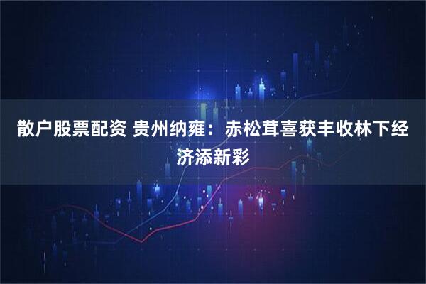 散户股票配资 贵州纳雍：赤松茸喜获丰收林下经济添新彩